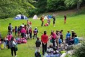 O nouă ediţie a festivalului dedicat pinului negru de Banat, aproape de start