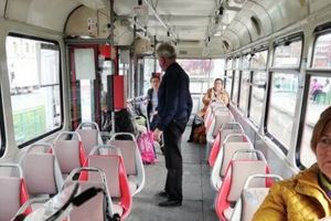 „Vă rog să distribuiţi”…  Ce a PĂȚIT Bianca într-un tramvai din Arad