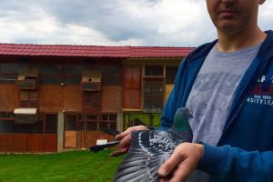 Campionatul porumbeilor voiajori: Balla Kalman câştigă primele două locuri la etapa de fond Radonia