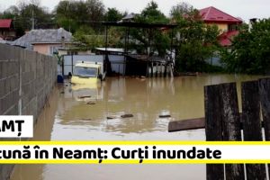NEAMȚ: Furtună în Neamţ: Curţi inundate. Intervin pompierii
