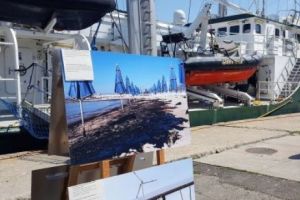 Pasivitatea României în problema schimbărilor climatice, semnalată de Greenpeace în Europa