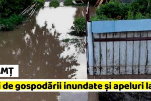 NEAMȚ: Zeci de gospodării inundate şi mai multe apeluri de urgenţă (FOTO)