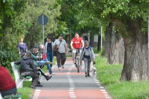 Pe biţă, în pericol! Lipsa pistelor dedicate exclusiv bicicliştilor face din Oradea un oraş prea puţin prietenos pentru transportul pe două roţi