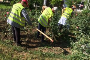 Continua lucrarile de igienizare si cosit in cartierele din orasul Constanta 