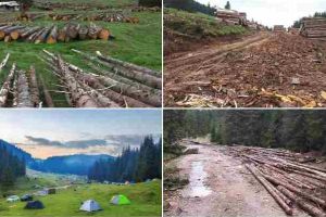 FOTO. O zonă spectaculoasă din Apuseni, căzută pradă firmelor care exploatează lemnul. Atracţiile turistice poluate şi distruse
