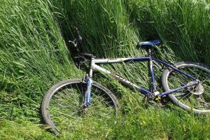 Zece fraţi au rămas orfani! Un şofer beat le-a ucis tatăl, care venea de la muncă, pe bicicletă