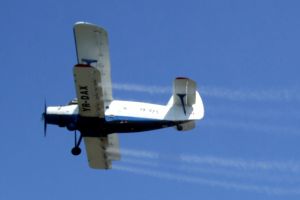 O nouă dezinsecţie. Primăria trece la atac cu Acqua K Othrine şi K-Othrine