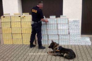 Aproape 33.000 de pachete de ţigări de contrabandă şi un microbuz, capturate la graniţa ...