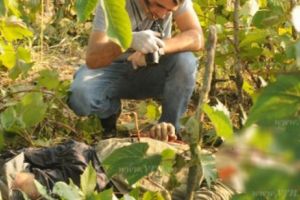 VASLUI. Doi bărbaţi au murit trăzniţi de fulger