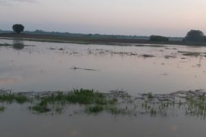 Avertizare hidrologică! Cod galben de inundaţii pe un râu din judeţul Botoşani