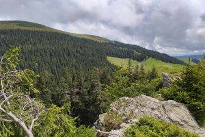 Bărbat din Ilva Mare, găsit mort într-o zonă greu accesibilă în Pasul Rotunda