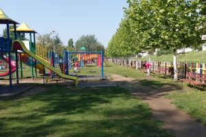 Copii de la Centrul de zi din Sânnicolau Mare au strâns mucuri de ţigări şi ambalaje din parc