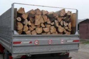 Localnic din Leordina amendat pentru transport ilegal de material lemnos