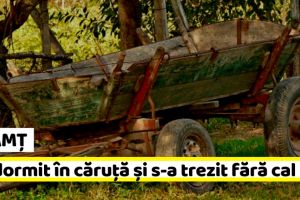 NEAMȚ: A adormit în căruţă şi s-a trezit fără cal