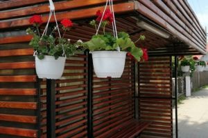 Nesimtire fara margini! Au fost furate ghivecele cu muscate asezate in statiile din Baicoi