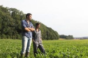 Fonduri pentru angajarea tinerilor în agricultură