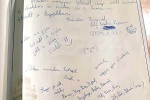 Stimă… suedeză: Mesajul 