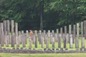 Actorul Manu Bennett din „Hobbitul” a intrat dezbrăcat în sanctuarul de la Sarmizegetusa Regia. Vedeta a practicat ritualul haka al populaţiei maori din Noua Zeelandă. VIDEO