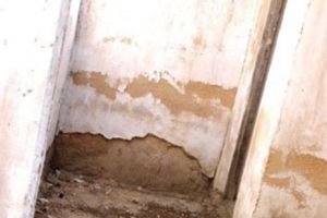  Promisiunea toaletelor civilizate pentru elevii de la ţară, în aer. Câte şcoli din mediul rural nu au primit bani pentru a scăpa de calvarul haznalelor 
