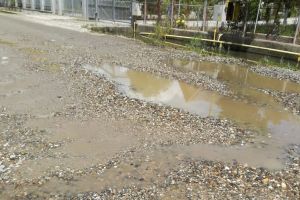 Două locuinţe de pe Valea Ghinzii, inundate de când au început ploile (FOTO)