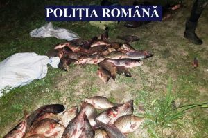 Judetul Constanta: Persoane, prinse in flagrant in timp ce sustrageau peste 140 de kilograme de peste dintr-o ferma piscicola