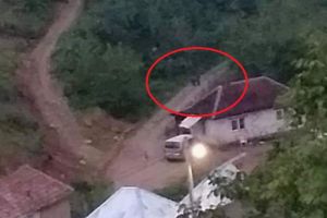 Un nou atac de urs, în Budureasa! Mărturia cutremurătoare a unei localnice (FOTO / VIDEO)