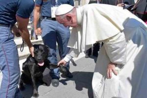 Vizita Papei Francisc în România: Cea mai înduioşătoare poză în care a fost surprins Suveranul Pontif