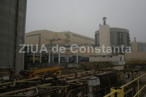 Labservice SRL, afaceri cu CNE Cernavoda (document)