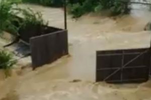 Viitura in comuna Plopu. Imagini dramatice