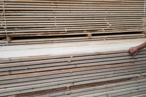 Depistat cu numere false, în timp ce transporta cherestea