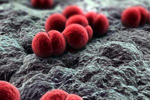 Doi copii din Valea Jiului, bolnavi de meningită. Un copil de opt luni a murit