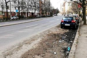 Primăria Timişoara – amendată pentru gunoiul din oraş. Prefect: Aşa ceva nu mai accept!