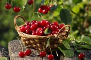 Despre luna iunie sau ciresar