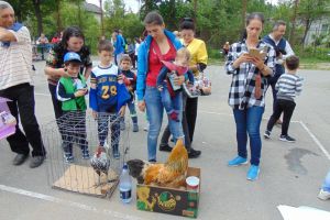 Școala „Altfel” – Ziua prietenilor necuvântători la Școala Diaconu Coresi din Fieni