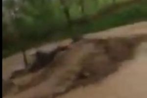 VIDEO: RUPERE DE NORI în comuna Pianu. Prăpăd făcut de puhoaiele de apă