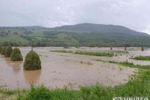 FOTO, VIDEO: Prăpăd făcut de o RUPERE DE NORI la Pianu. Maşini luate de puhoaiele de apă şi mai multe terenuri inundate