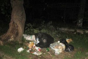 Gunoiul, problema din toate cartierele. Poliţia Locală a vorbit cu oamenii din nord