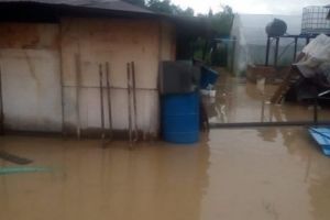 Drum inundat de ploaie, în Timiş