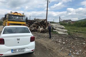 Sute de metri cubi de material lemnos, indisponibilizate de politisti
