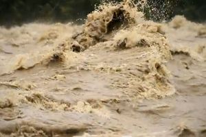 NEWS ALERT: Inundaţii DEVASTATOARE într-o localitate din Arad