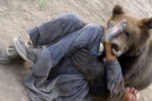 ACUM – Persoană ATACATĂ de URS la Curtea de Argeş