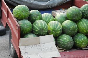 ADP Oradea, licitaţie publică cu strigare pentru locurile de vânzare a pepenilor