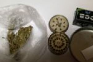 Etnobotanice comandate de pe Darknet, internetul infractorilor, vândute tinerilor din Caransebeş