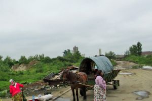 FOTO. Căruţaşii, sancţionaţi de poliţiştii locali din Satu Mare. Amenzi de mii de lei