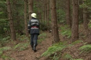 Doi copii, de 12 şi 13 ani, s-au rătăcit în pădure, în timp ce culegeau ciuperci
