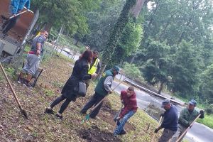 Elevi de la o şcoală din Timişoara au plantat legume ornamentale la Grădina Zoologică