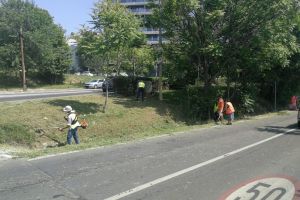 Actiuni de salubrizare stradala, in municipiul Constanta 