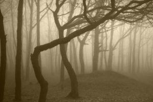 Povestea lui Hanesl şi Gretel în variantă ieşeană. Cum au scăpat un băieţel şi o fetiţă care s-au rătăcit într-o pădure din judeţul Iaşi