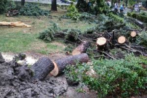 Bilanţ după furtună la Timişoara: pagube de peste 4,31 de milioane