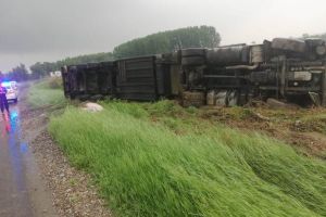 ULTIMĂ ORĂ: TIR răsturnat pe câmp la Adjud